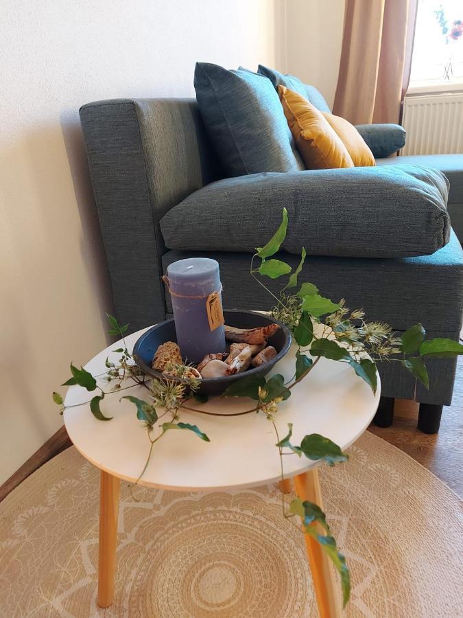 Wildkraut'S Kraeuterbauernhof - Ferienwohnung Kremsmünster Kültér fotó